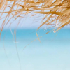 Отель Esperanto Seafront Studio, фото 12