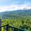 Отель Deer Ridge Mountain Resort by JMR, фото 1