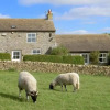 Отель The Stone Byre, фото 7