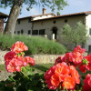 Отель Fattoria di Belvedere, фото 18