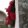Отель Villa Santa Anna, фото 14