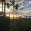 Отель Wailea Ekolu 1606 - 2 Br Condo, фото 1