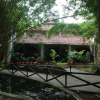 Отель Mogli Jungle Resorts Bandhavgarh, фото 17