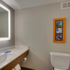 Отель Holiday Inn Express & Suites Atlanta N-Perimeter Mall Area, фото 9