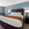 Отель Comfort Inn & Suites, фото 17
