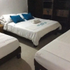 Отель Palm Tree Hostal Medellin - Hostel, фото 6