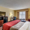 Отель Comfort Inn & Suites Hillsville I-77, фото 28