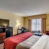 Отель Comfort Inn & Suites Hillsville I-77, фото 26