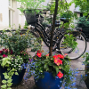 Отель Antique Apartments - Worcella, фото 7