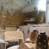 Отель Lunartista Bed & Breakfast, фото 11