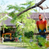 Отель N2 Pattaya Resort, фото 21