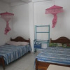 Отель Jayanthi Surf Dreams, фото 8