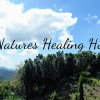 Отель Natures Healing Home, фото 22
