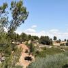 Отель Les Garrigues de la Vallée des Baux, фото 5