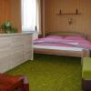 Отель Penzion u Lebedů, фото 2