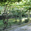 Отель Medea Gesthouse, фото 9