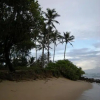 Отель Mirissa Beach House, фото 12