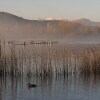 Отель rural La Sala de Camós, фото 16