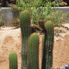 Отель Otero Valle de Guadalupe, фото 23