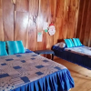 Отель Pensión y Cabinas Colibrí Monteverde B&B, фото 19