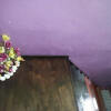 Отель Homestay Sri Perhentian, фото 6