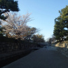 Отель Taberu Tomaru Nijo Castle, фото 17