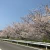 Отель Business Hotel Kawakami Kumano, фото 5