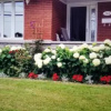 Отель Gite du Passant Rosedort 1, фото 1