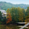 Отель Wolong Riverside Manor, фото 11