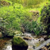 Отель Mogan Mountain Zhuman Inn, фото 15