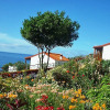 Отель Holiday Home Arco de Sã£O Jorge, фото 6
