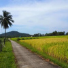 Отель Koh Sukorn Homestay, фото 14