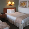 Отель Blue Marlin Motel, фото 6