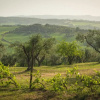 Отель Holiday Home Arpicella, фото 6
