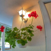 Отель Apartments Suzana 2BR Split with balcony, фото 14