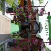 Отель B&B Splav Dunavac, фото 14