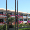 Отель Apartamentos Don Palomón, фото 1