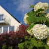 Отель Meadow Cottage Bed & Breakfast, фото 1