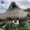Отель Moon Wind Tayrona Hostel, фото 15