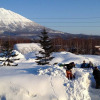 Отель Ramat Niseko - Hostel, фото 22