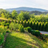 Отель Baza Grapa Pokoje Gościnne, фото 17