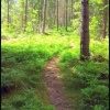 Отель Tjällmo Gästgifvaregård, фото 10