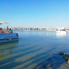 Отель B&B DreAm Porto Cesareo, фото 15