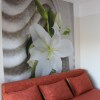 Отель Villa Amfora, фото 5