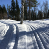 Отель Åsens Vandrarhem Uvboet - Hostel, фото 23