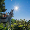 Отель Holiday home Ani-30m from beach, фото 9