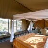 Отель Serengeti Ikoma Wild Camp, фото 10