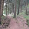 Отель Pleasant Apartment in Wildemann Amid Forest, фото 10