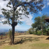 Отель Cabina y Finca Soan, фото 7