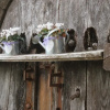 Отель Agriturismo Cascina Crocelle, фото 33